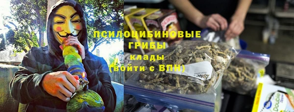 сатива Арсеньев