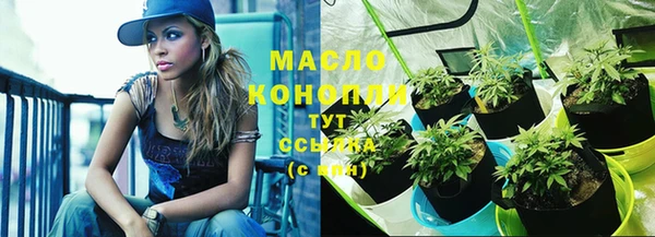 сатива Арсеньев