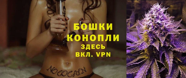 сатива Арсеньев