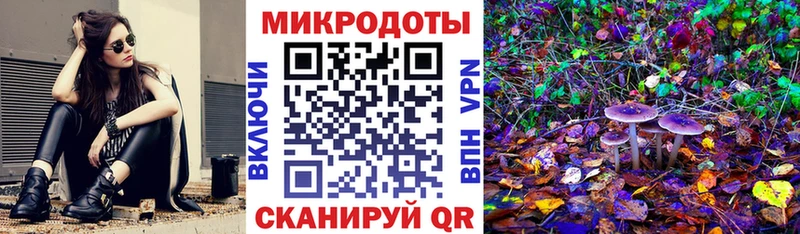 Галлюциногенные грибы Magic Shrooms  наркошоп  Пугачёв 